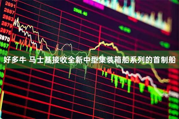 好多牛 马士基接收全新中型集装箱船系列的首制船